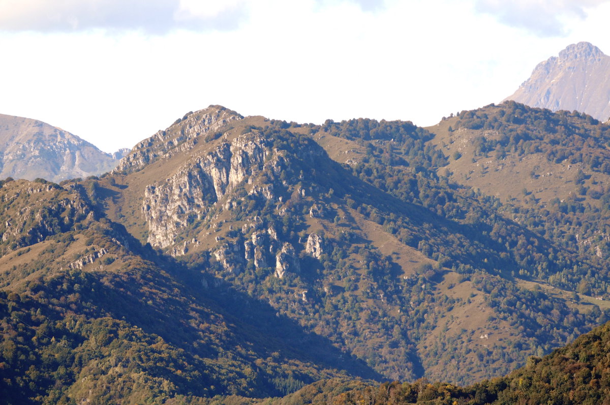 Aiuto riconoscimento Orobie, Prealpi bergamasche e bresciane